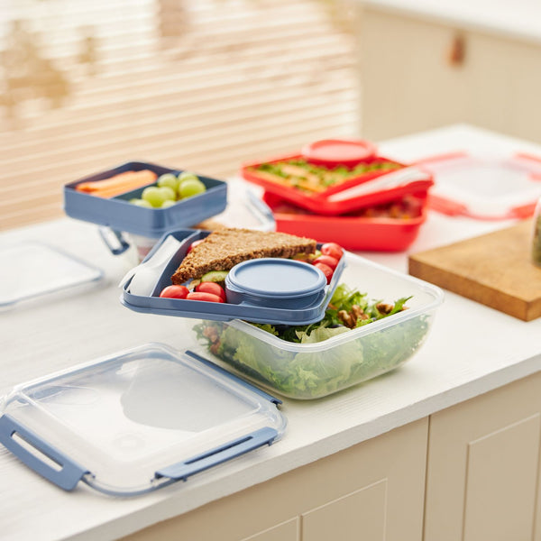 Rotho Switzerland Memory Lunch / Salad Box 1.7L & 1.1L