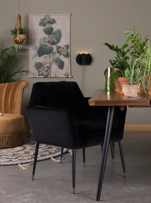 Kate Armchair by Dutch Bone
