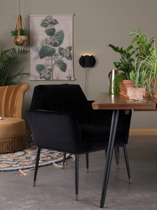 Kate Armchair by Dutch Bone