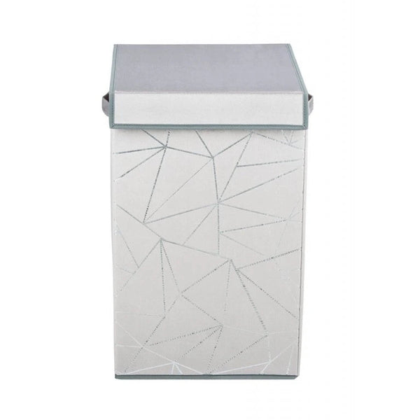 Wenko Sam Grey Rectangular Laundry Basket – Velour-Touch Hamper with Lid Intro