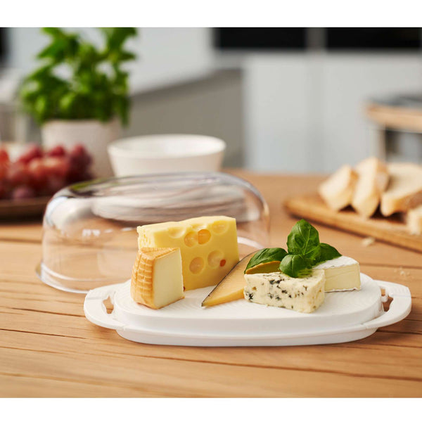 Rotho  Switzerland Cheese Container with Clear Plastic Hood