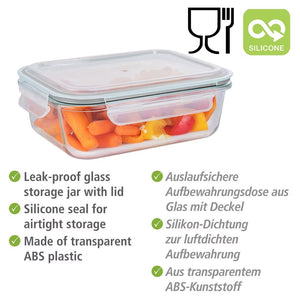 Wenko Glass food storage container Pacu 0.6 L