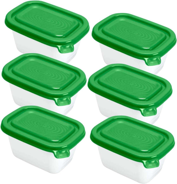 Rotho -Set Frozen can - 6 x 0,25L