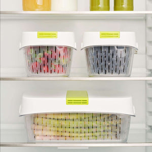 Rotho Fresh Dynamic Food Storage Container, 1.6l