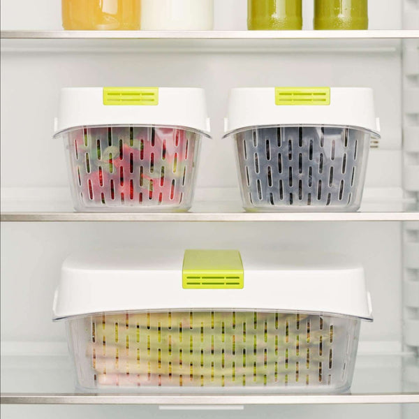 Rotho Fresh Dynamic Food Storage Container, 1.6l