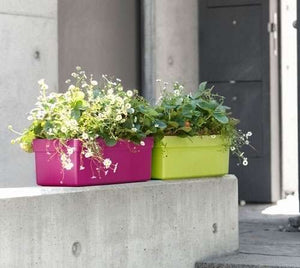 Emsa 514323 FlowerPot - 75 x 20 x 16 cm - Green