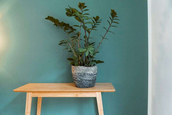 Wenko Storage basket -Coppitella- Blue made of woven seagrass