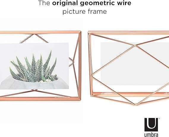 Umbra Prisma Medium Copper Photo Fram