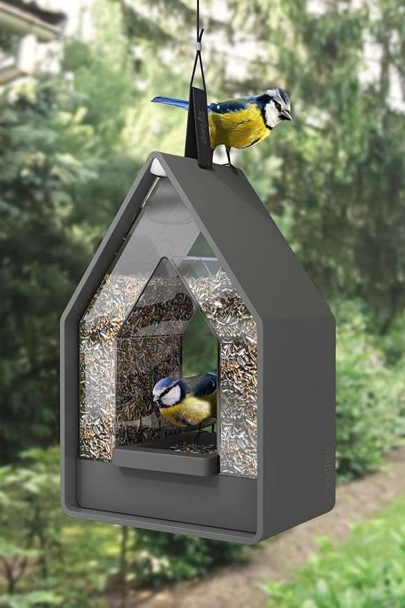Emsa Bird Feeding House - 516413B - Light Blue