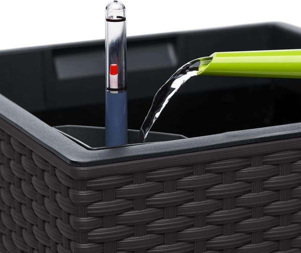 EMSA -‎517589- Indoor Flower Pot - self-watering system & water level indicator - Granite