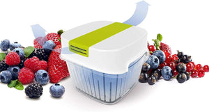 Rotho Fresh Dynamic Food Storage Container, 1.6l