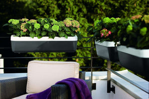 Emsa 506734 flower Pot- MyBox, Pink- 75 cm - Made in Germany