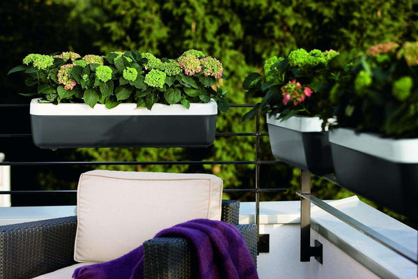 Emsa 506734 flower Pot- MyBox, Pink- 75 cm - Made in Germany