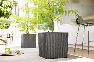 EMSA -‎517589- Indoor Flower Pot - self-watering system & water level indicator - Granite