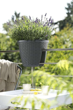 Emsa 515012 Casa Mesh Railing Pot- White
