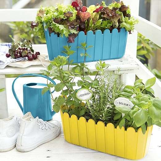 Emsa 515161 Country House Garden 39 x 15 cm - Yellow
