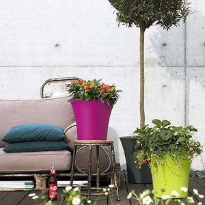 EMSA 514330 City Curve Garden Flower Box Polypropylene Pink 30 cm