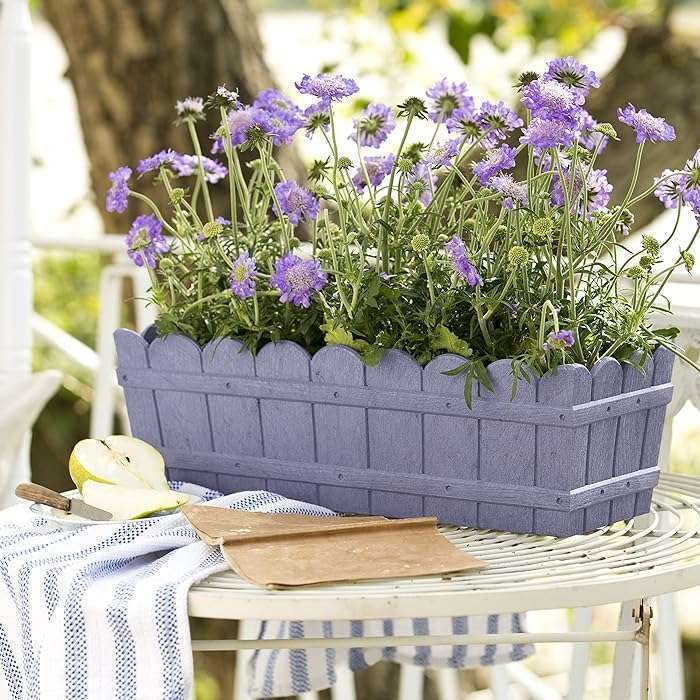 Emsa 515253COUNTRY Window Box 75 x 17x 15 cm, lilac