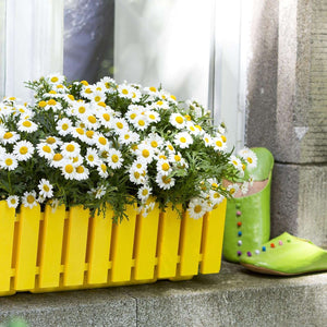 EMSA 508694 Flower Pot - Yellow -Made in Germany-75 cm