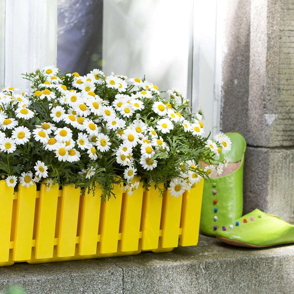 EMSA 508694 Flower Pot - Yellow -Made in Germany-75 cm