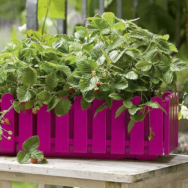 EMSA 508696 Flower Pot - Pink -75 cm- Made in Germany