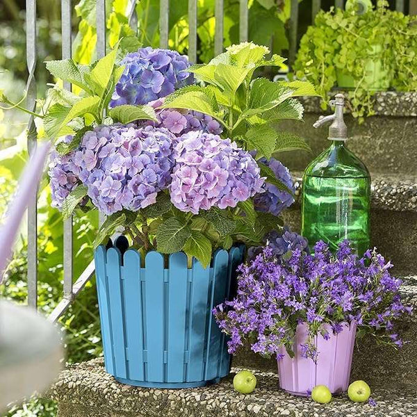 Emsa 513067 LANDHAUS Planter, Blue