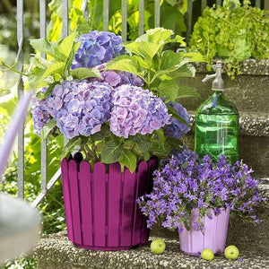 Emsa 513069 LANDHAUS Planter, Pink