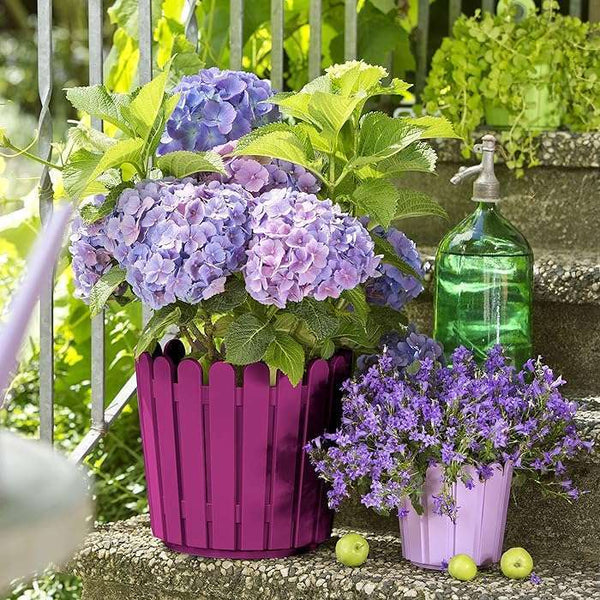 Emsa 513069 LANDHAUS Planter, Pink