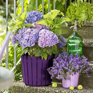 Emsa 512686 – Flowerpot Round, Country House Style, 11 Liter, Purple, Country House