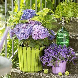 Emsa 512687 – Flowerpot (Circular), Green