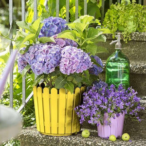 Emsa 513067 LANDHAUS Planter, yellow