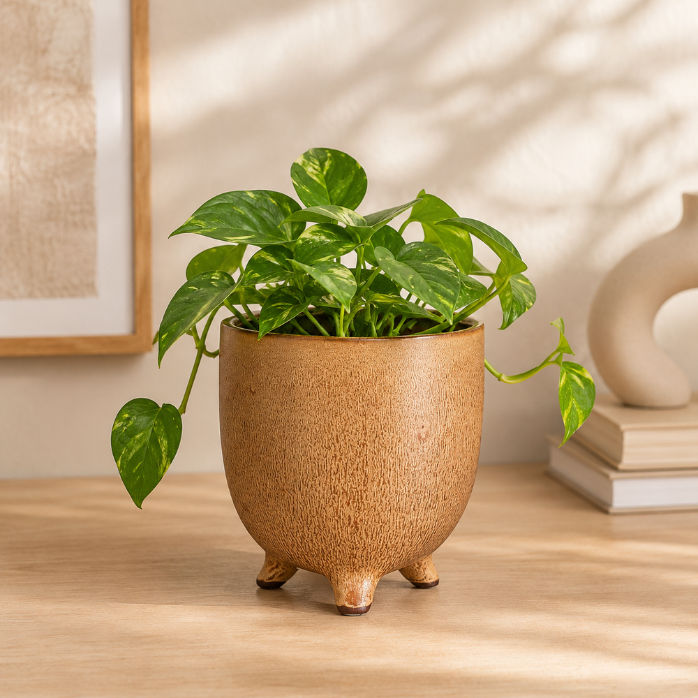 Mica Elly Pot Ceramic Brown Vase