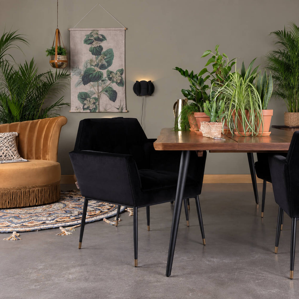 Dutch Bone Kate Armchair – Black Velvet & Brass
