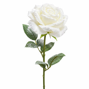 A single artificial white rose with green leaves, dusted with white faux snow, on a solid white background.