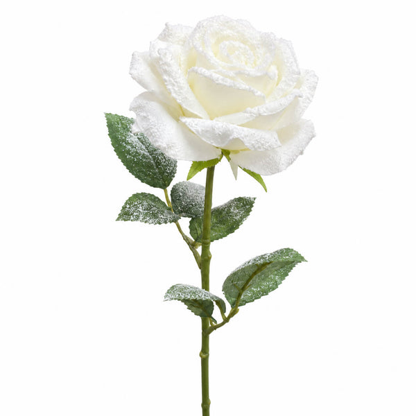 A single artificial white rose with green leaves, dusted with white faux snow, on a solid white background.