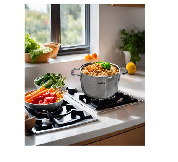 Zyliss 2.8L Stainless Steel Casserole Pot – High-Quality Induction Base Pan