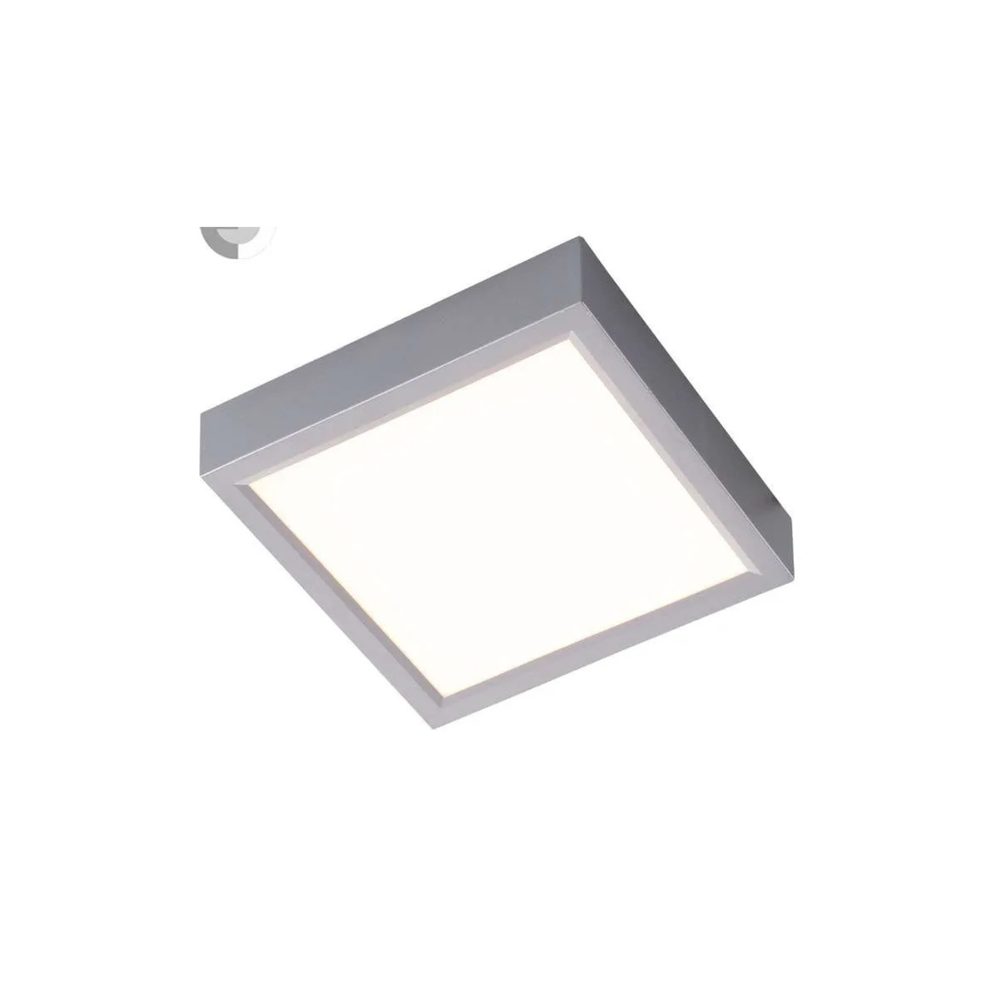 Nino PUCCY Ceiling Light LED
