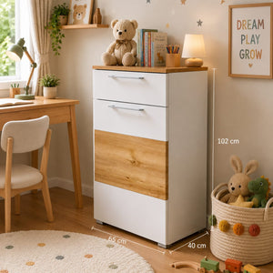 Reno Multifunction Storage/Shoe Cabinet & Storage