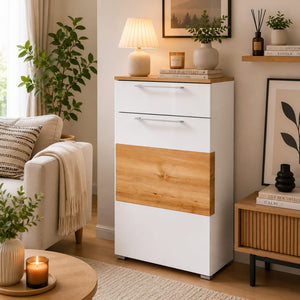 Reno Multifunction Storage/Shoe Cabinet & Storage