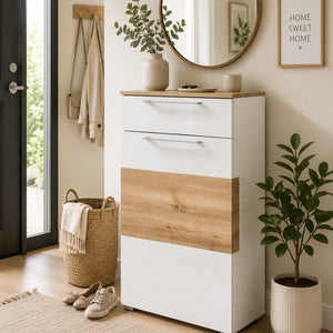 Reno Multifunction Storage/Shoe Cabinet & Storage