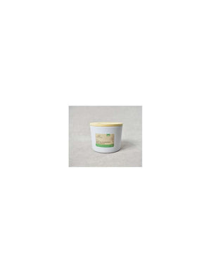 Terra Storage Box by Sabatier - 600 ml