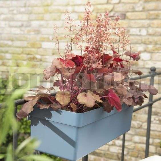 Emsa 517527 FlowerPot-Slef watering -75 x 20 x 16 cm -Old Blue