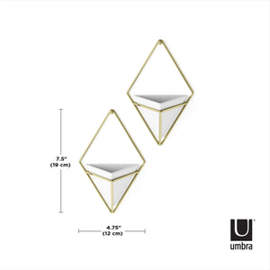 Umbra Trigg Small Wall Display set of 2 pieces