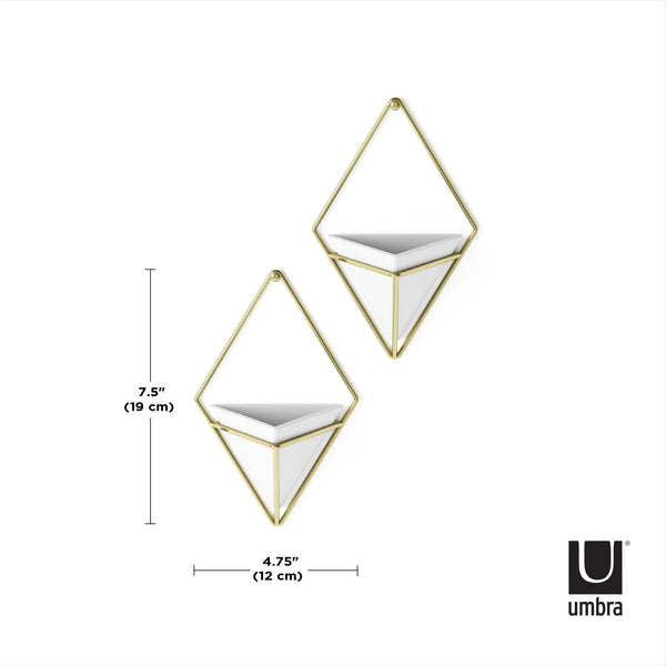 Umbra Trigg Small Wall Display set of 2 pieces