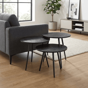 Delano Modern and rustic Coffee Table set of 3