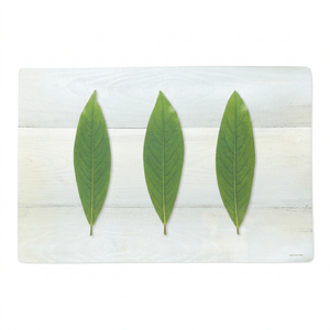 Double Sided Dining Placemat
