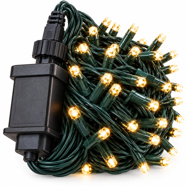 Coiled green Christmas string lights with many warm white LED bulbs and a black power adapter on a white background.