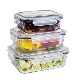 Wenko Glass food storage container Pacu 1L