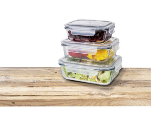 Wenko Glass food storage container Pacu 1L