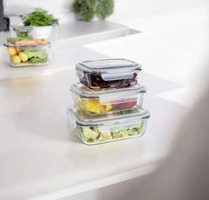 Wenko Glass food storage container Pacu 1L